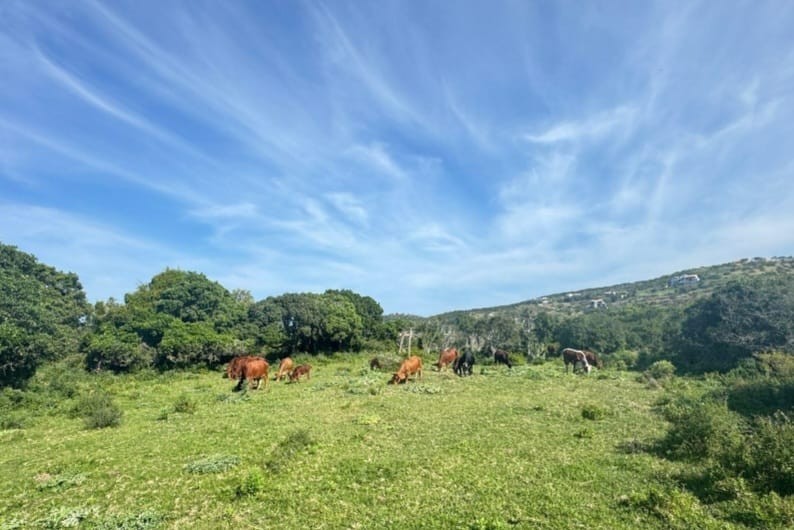 Vacant Land for sale in Port Alfred Rural, Port Alfred, 1427 m²