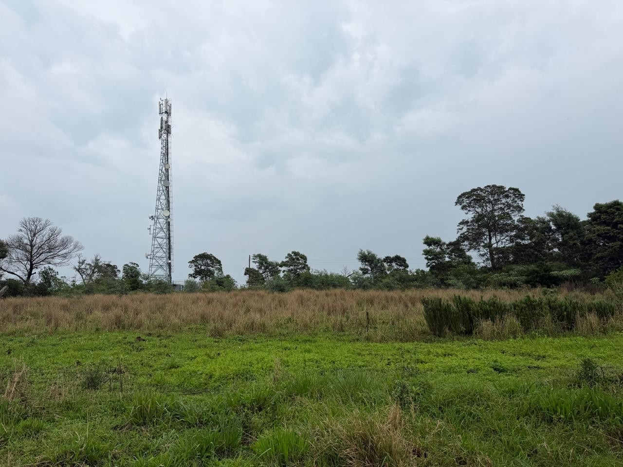 Small Holding for sale in Komga Rural, Komga, 21647 m²