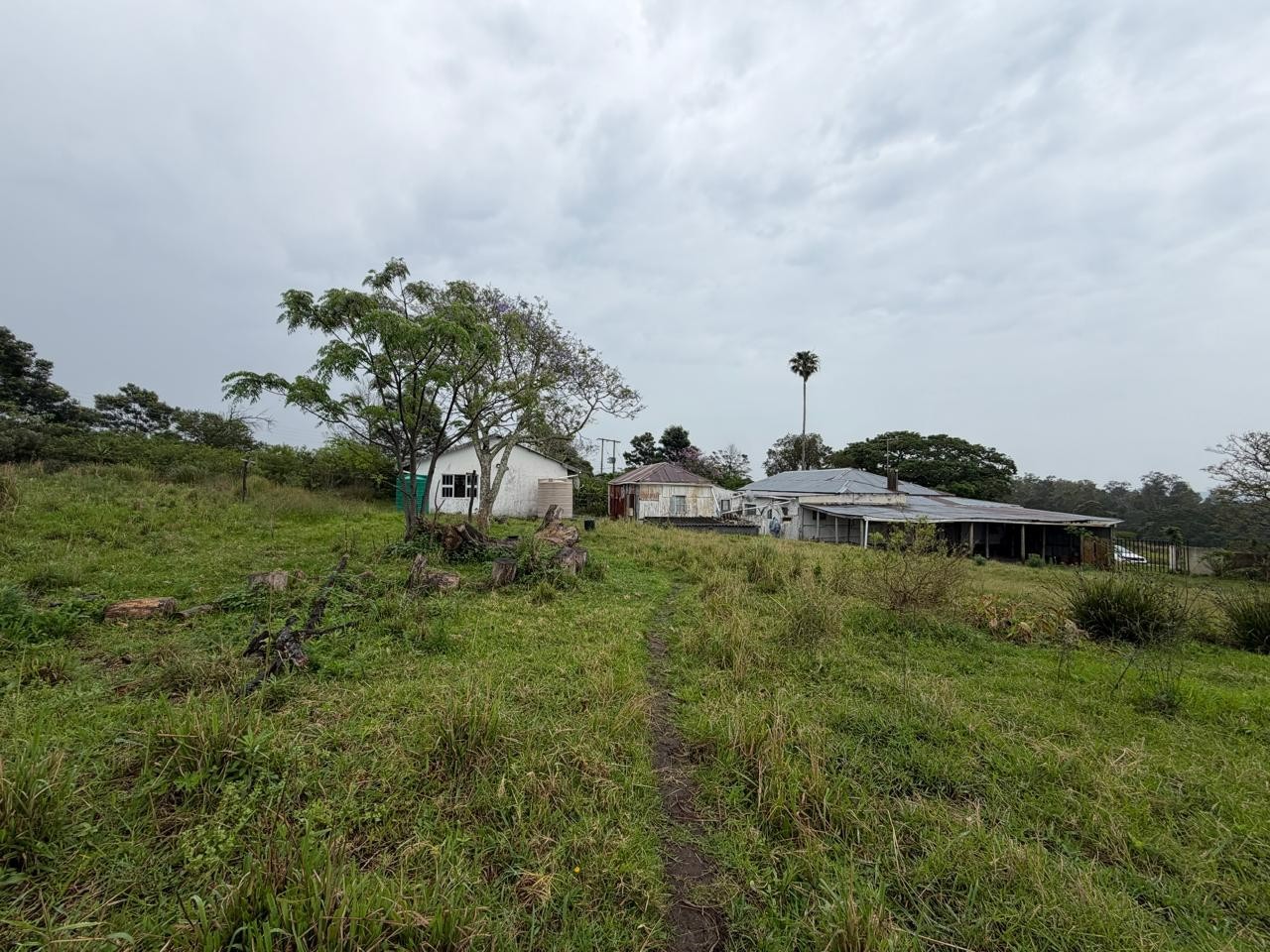Smallholding Running Parallel to N2 Mooiplaas Area with Guaranteed Income and Other Opportunities