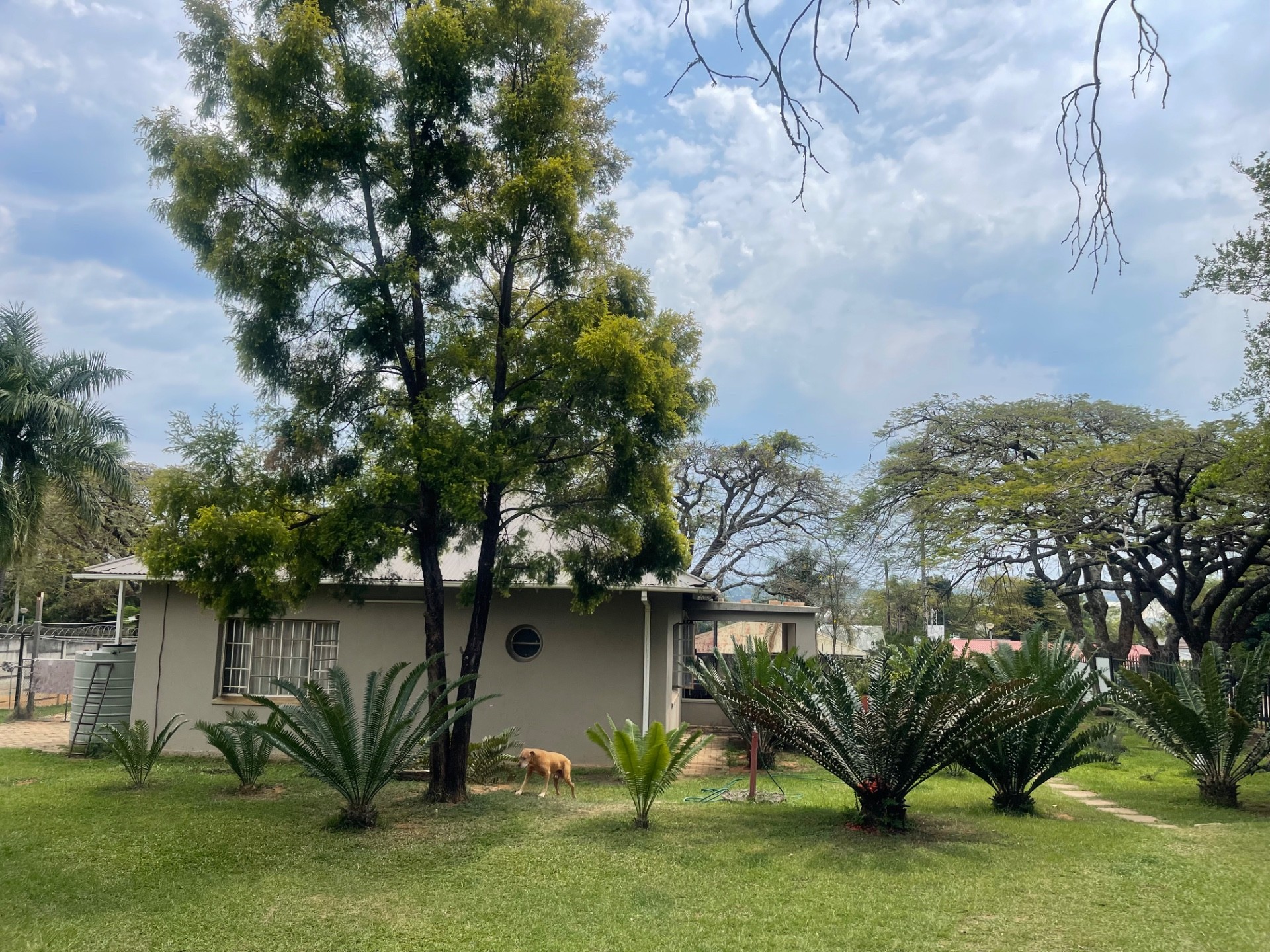 House for sale in White River Ext 3, White River, 1100 m²