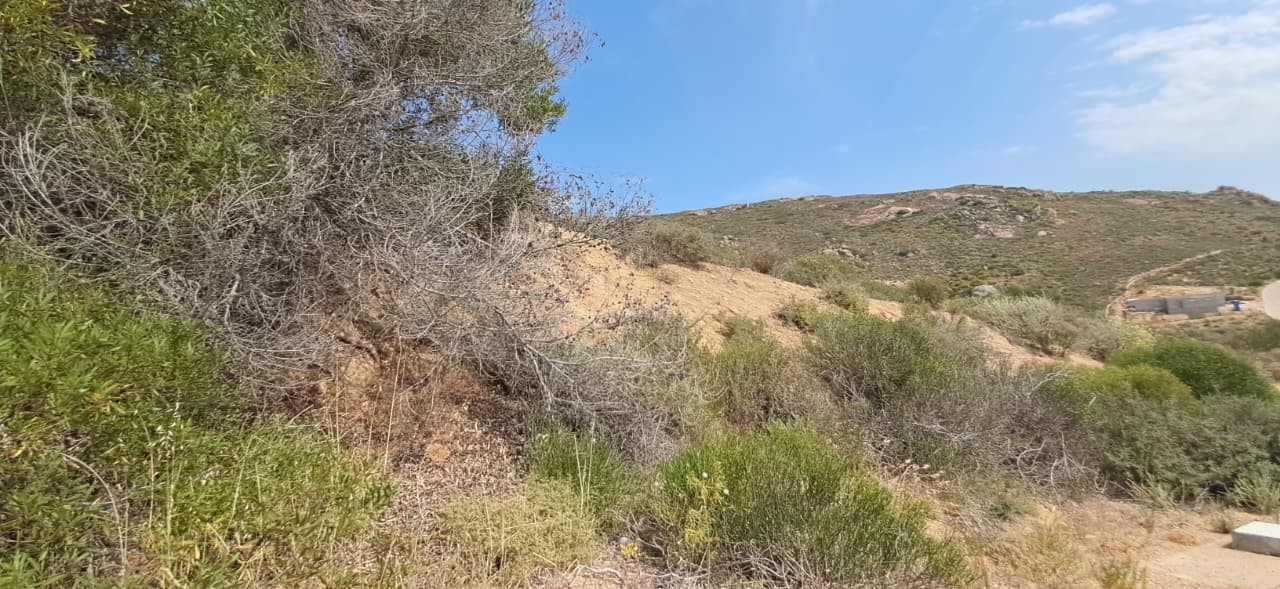 Vacant Land for sale in St Helena Views, St Helena Bay, 442 m²