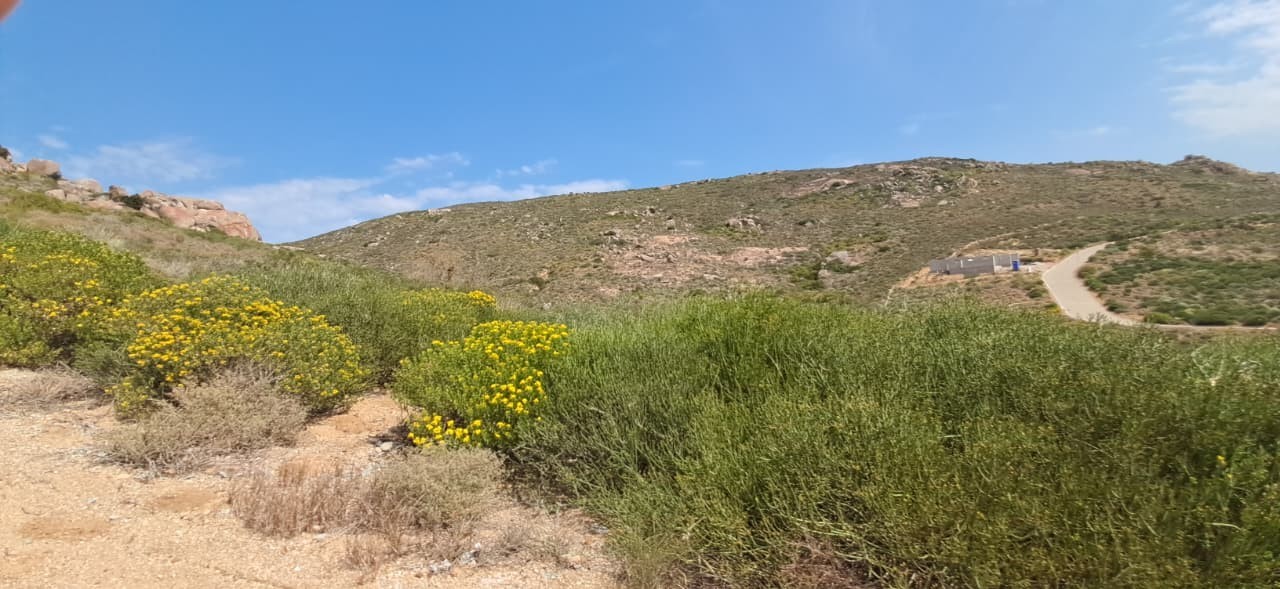 Vacant Land for sale in St Helena Views, St Helena Bay, 303 m²