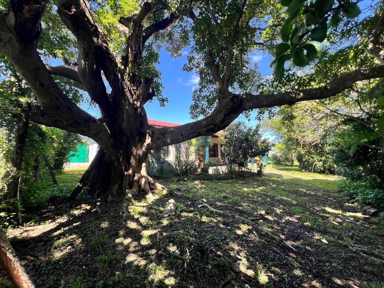 Farm for sale in Summerpride, East London, 98000 m²