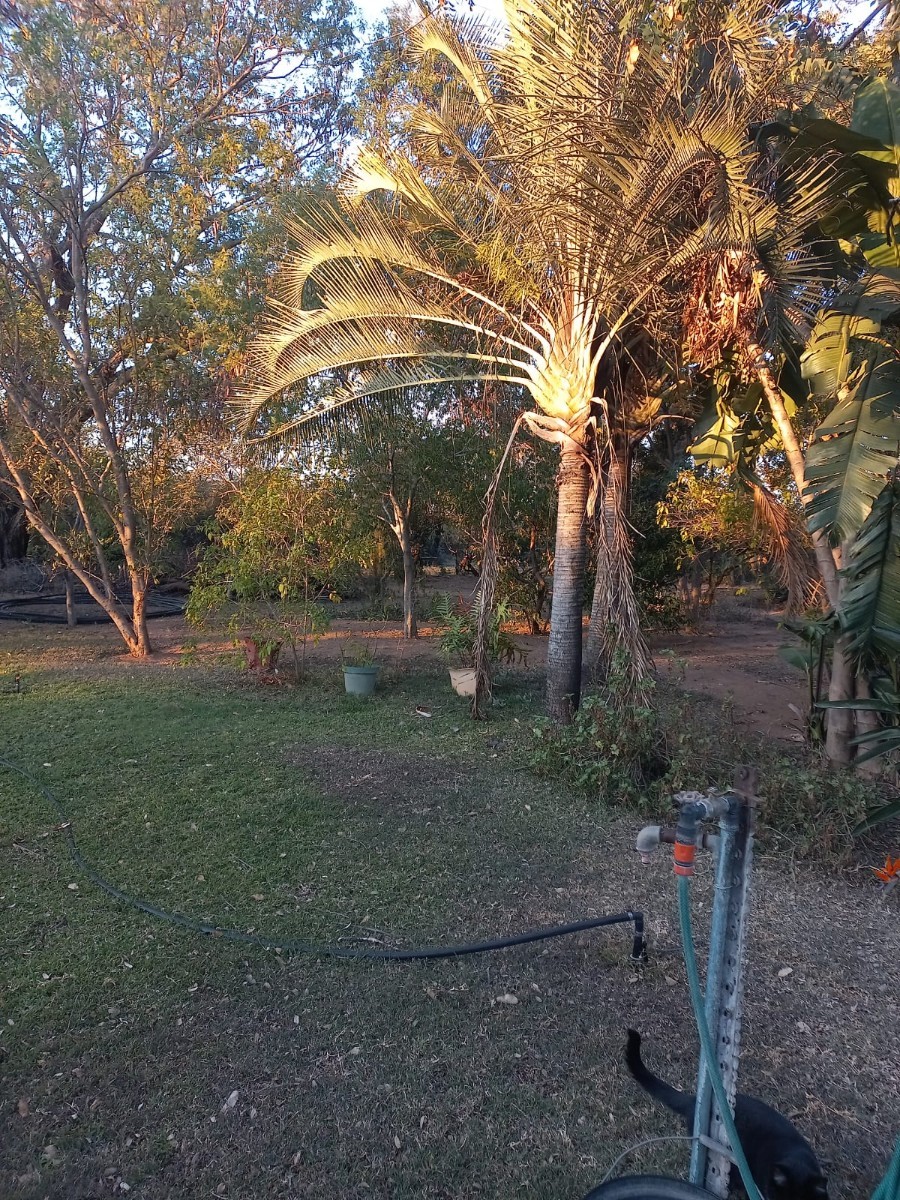Farm for sale in Kromdraai, Hammanskraal, 87298 m²