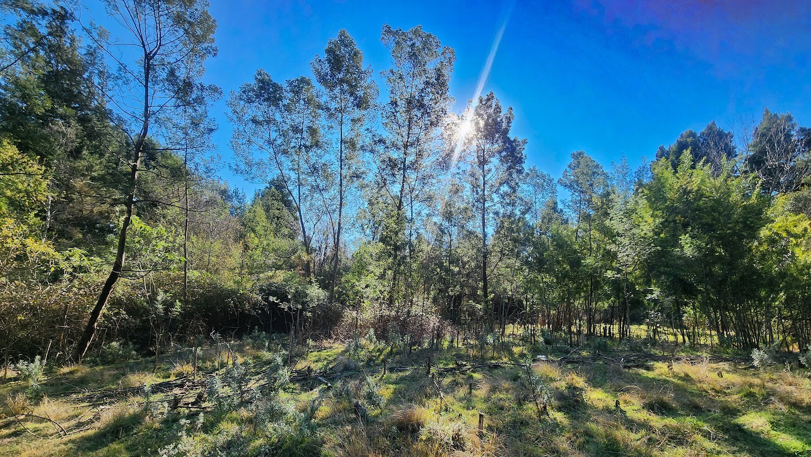 Vacant Land for sale in Hogsback, 16674 m²
