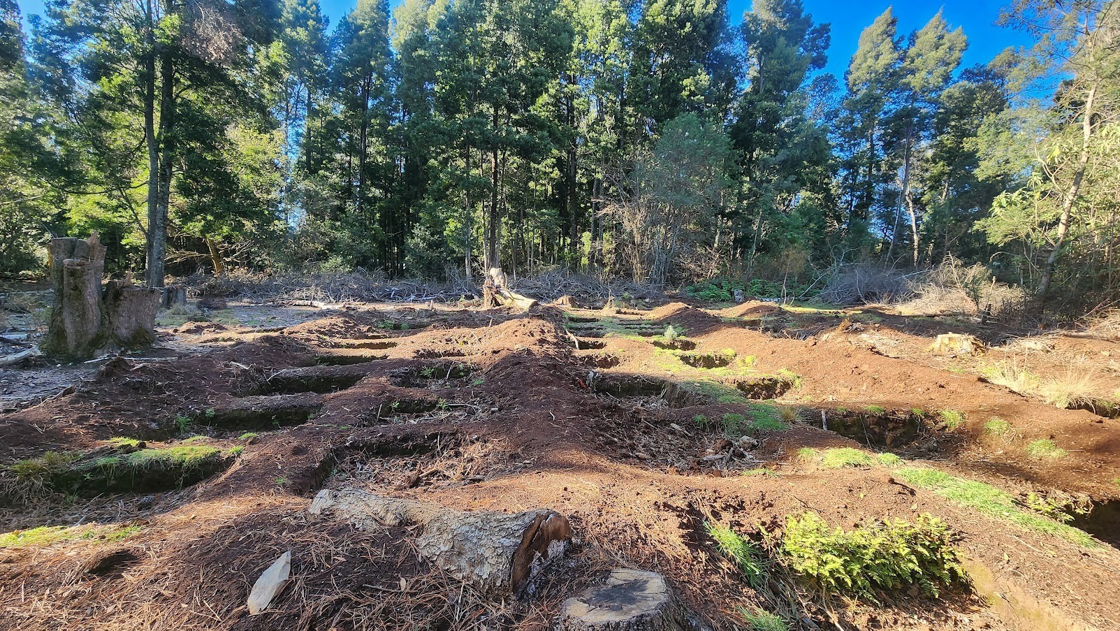 Vacant Land for sale in Hogsback, 16674 m²