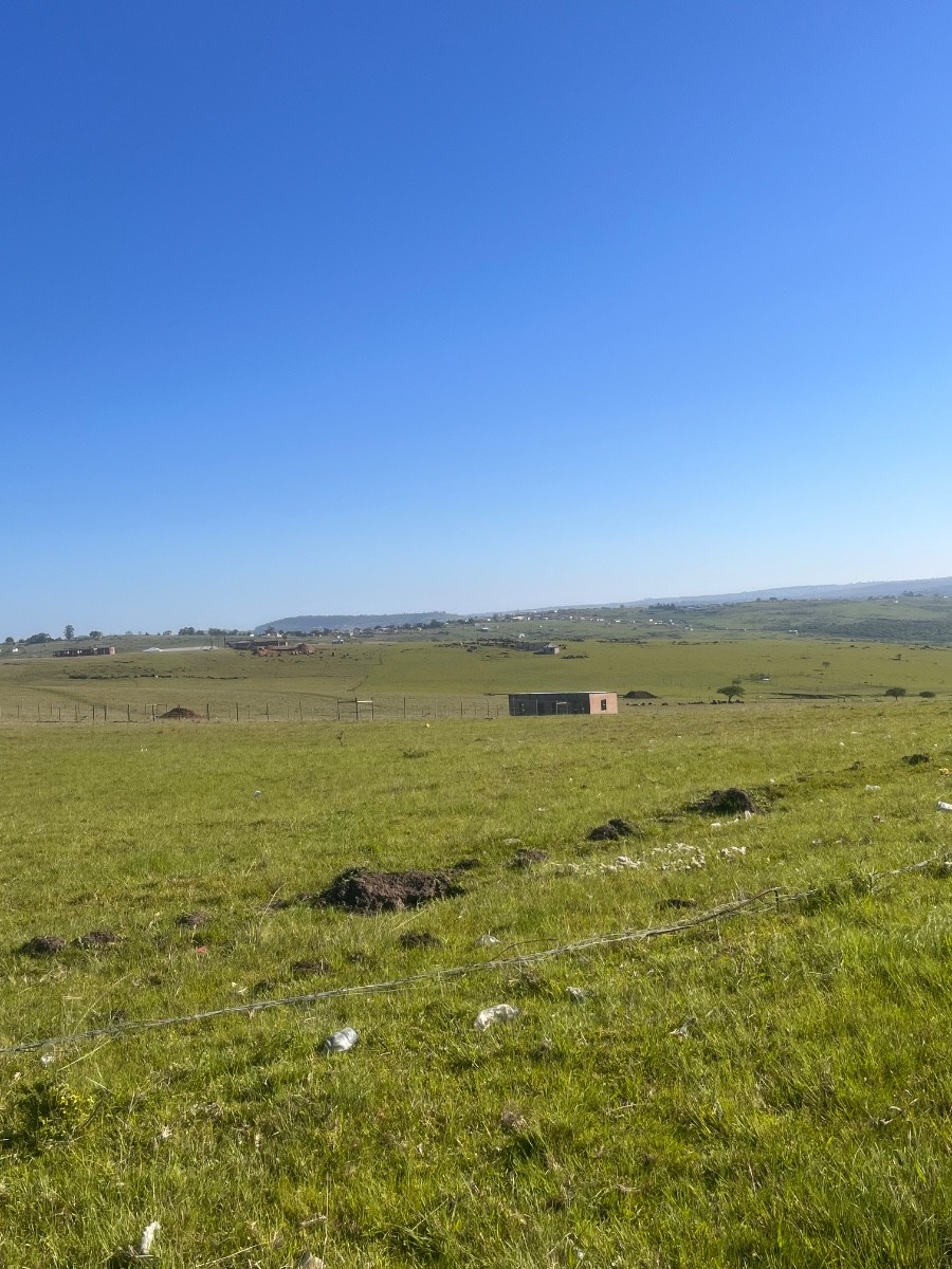 Small Holding for sale in Butterworth, 2800 m²