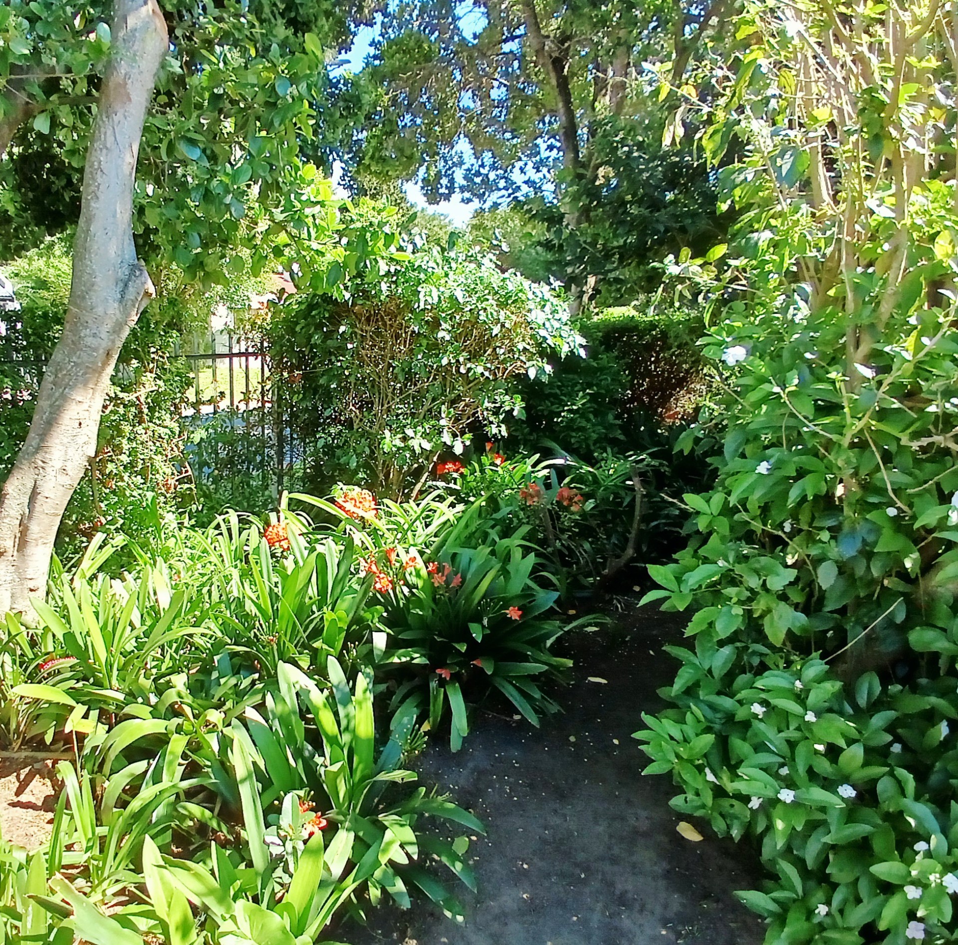 Townhouse for sale in Knysna Central, Knysna, 18, Heron Village, 0 Dikkop Street Old Place, Knysna Central, Knysna, Western Cape, 182 m²