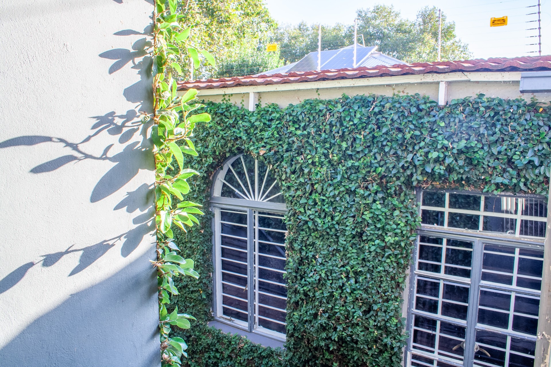 House for rent in Melville, Johannesburg, 25 7th Avenue, Melville, Johannesburg, Gauteng