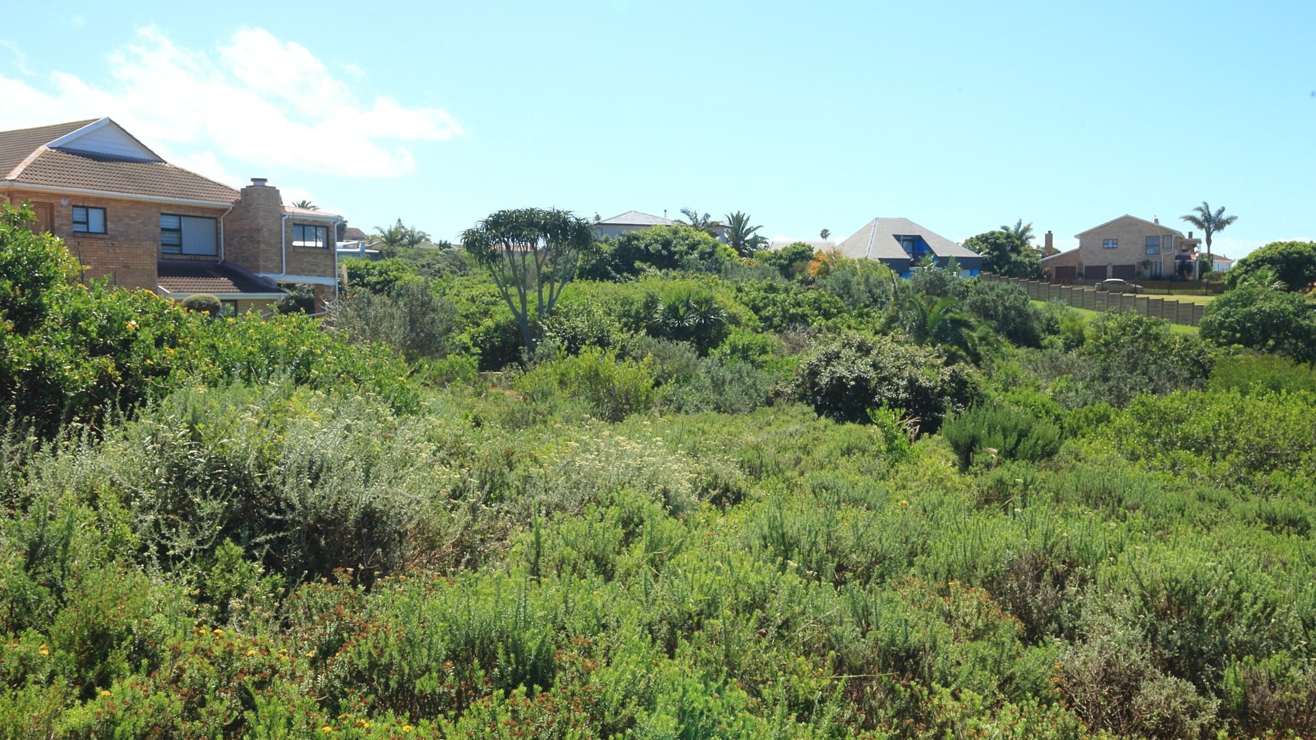 Vacant Land for sale in Noorsekloof, Jeffreys Bay, 855 m²