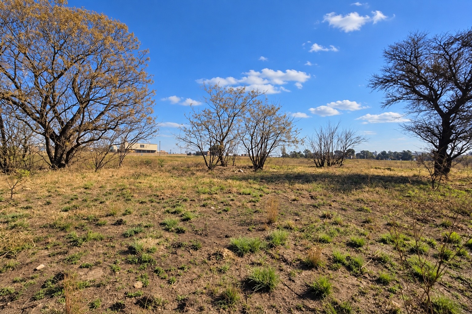 Vacant Land for sale in Middelburg Rural, Middelburg, 13563 m²