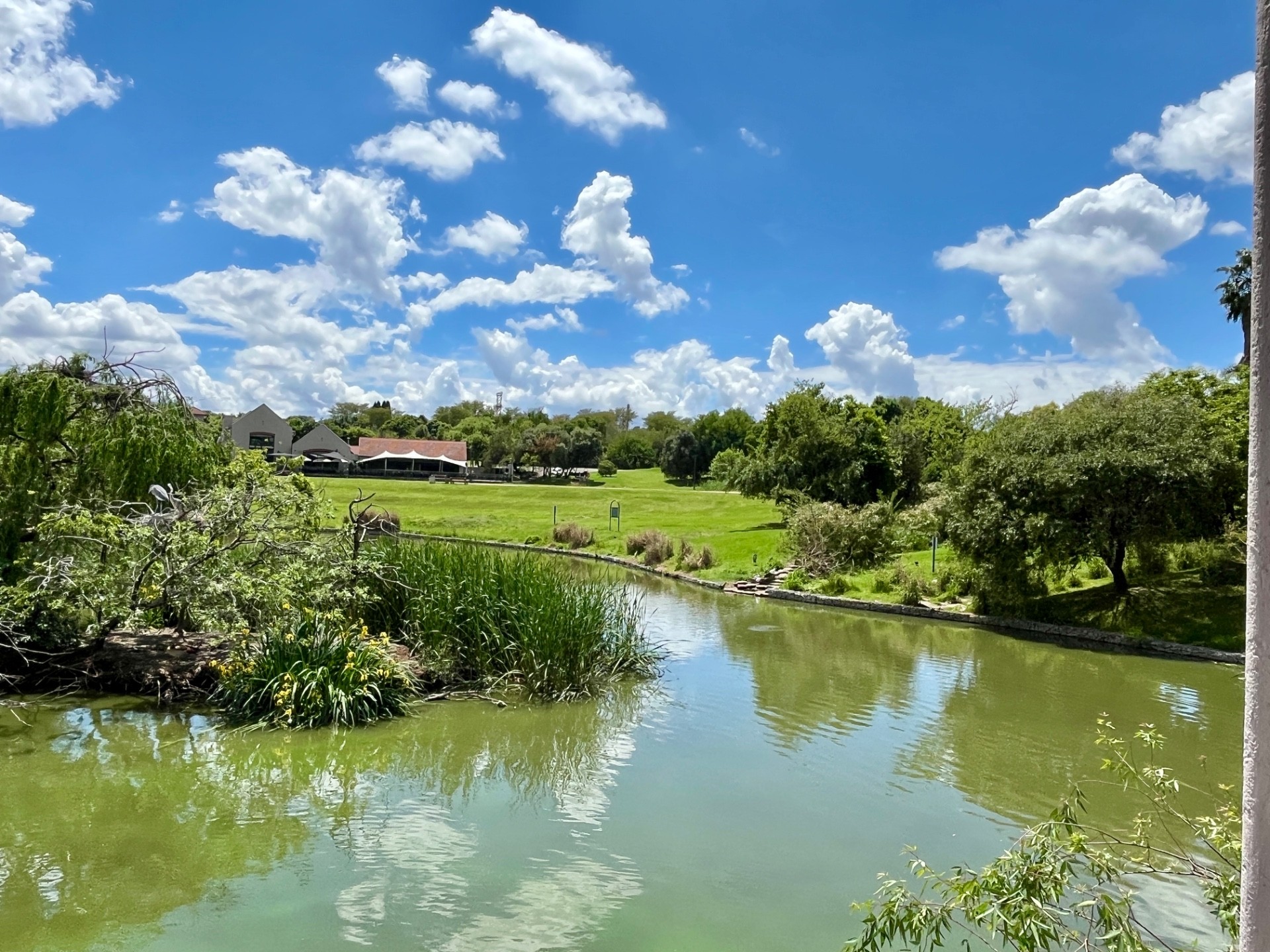 House for rent in Cedar Lakes, Randburg