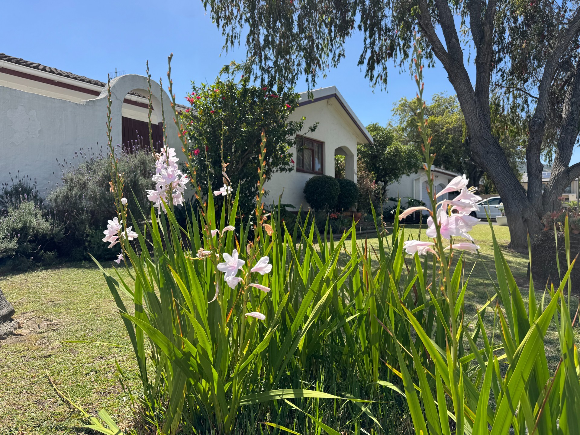 House for sale in De Duin, Parow, 998 m²