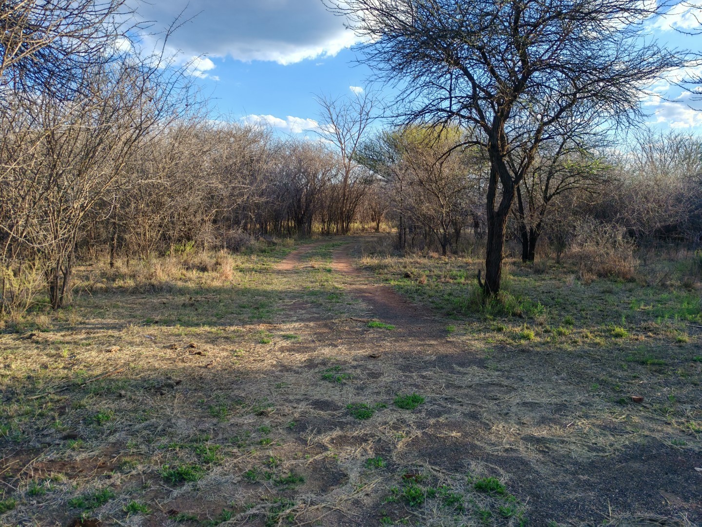 Small Holding for sale in Bela Bela, 85667 m²