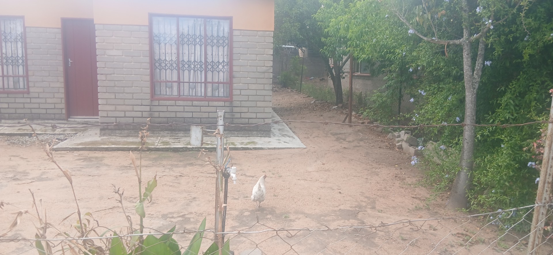 House for sale in Seshego E, Seshego, Polokwane, 372 m²