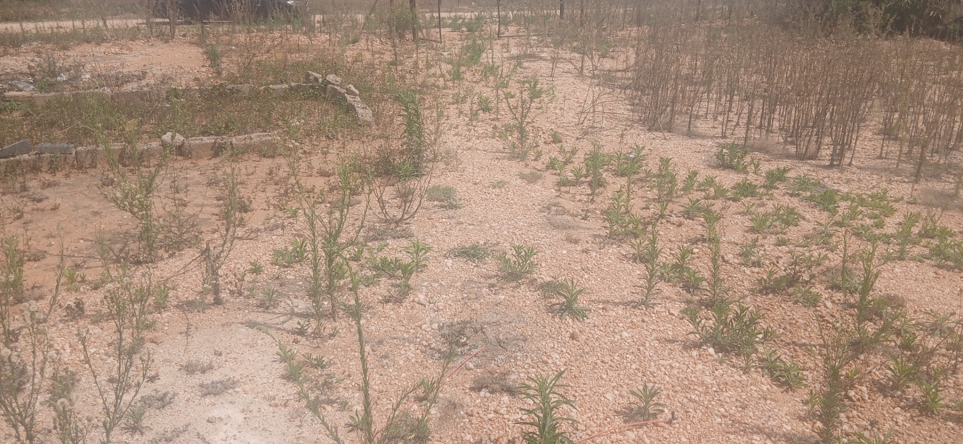 Cottage for sale in Seshego, Polokwane, 2000 m²