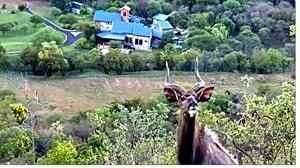 Farm for sale in Brits Central, Brits, North West, 3000 m²