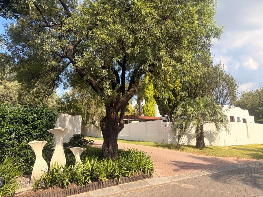 House for rent in Sunninghill, Sandton, 600 m²