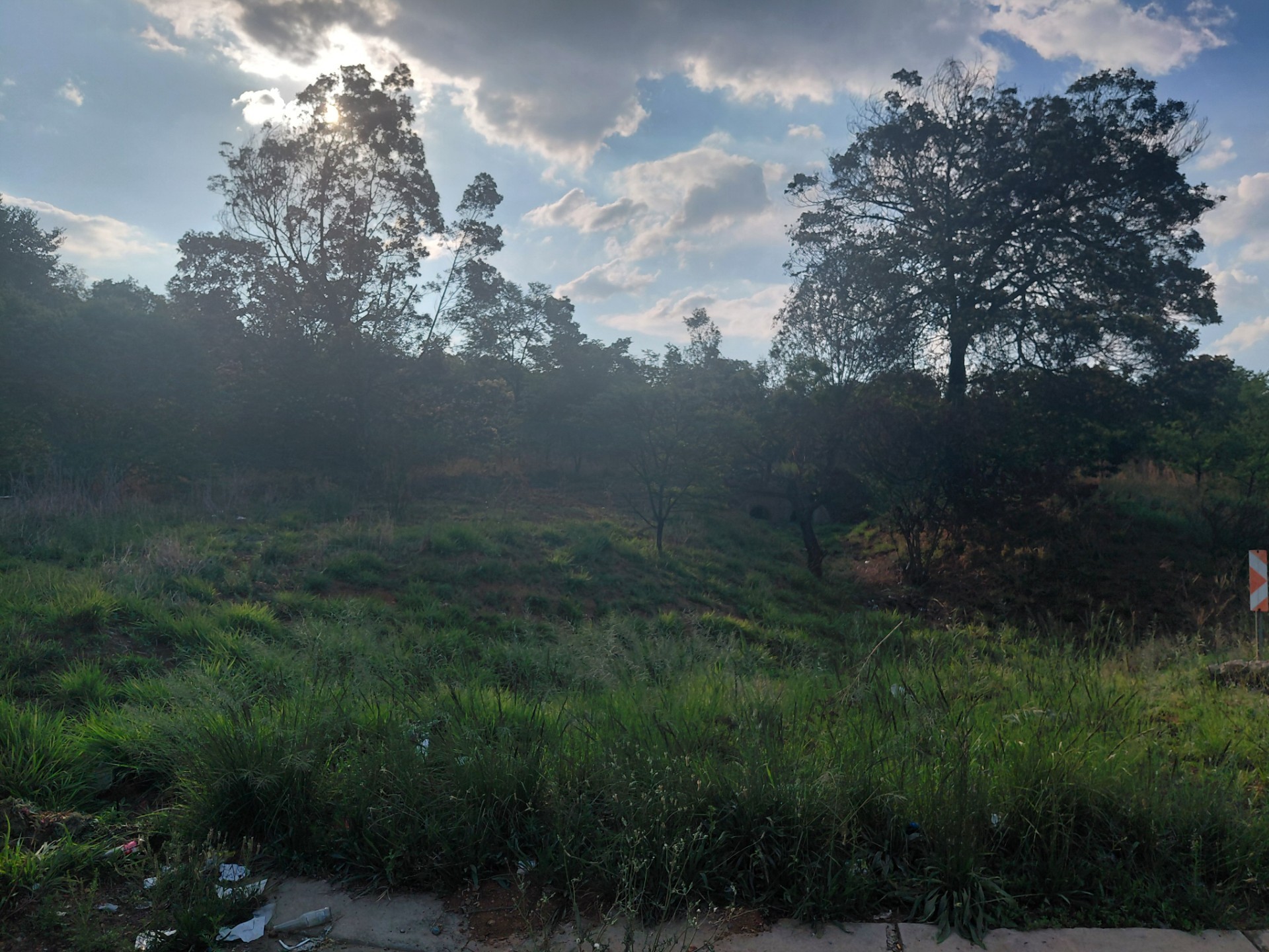 Vacant Land for sale in Olifantsvlei, Johannesburg, 100000 m²