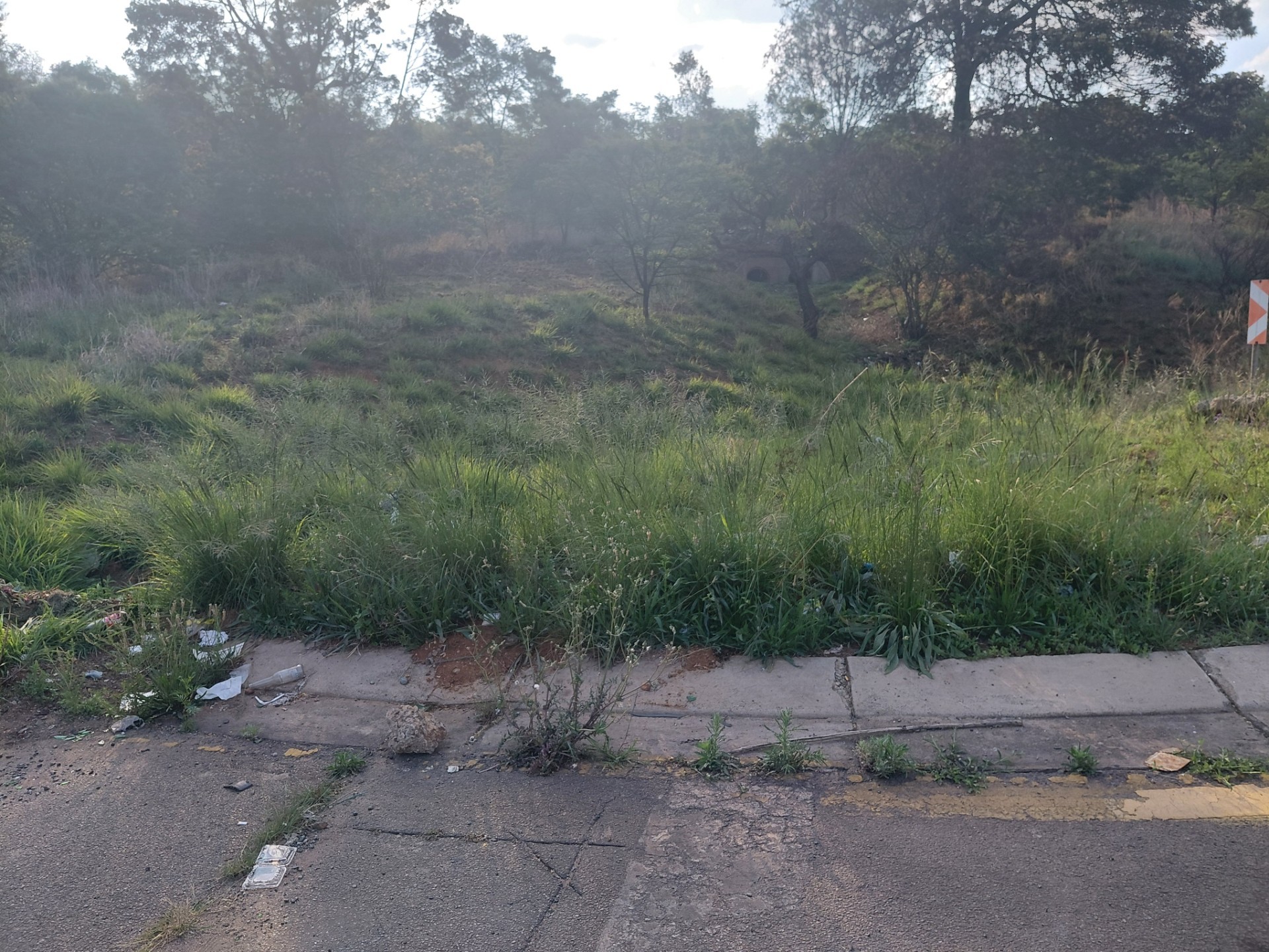 Vacant Land for sale in Olifantsvlei, Johannesburg, 100000 m²