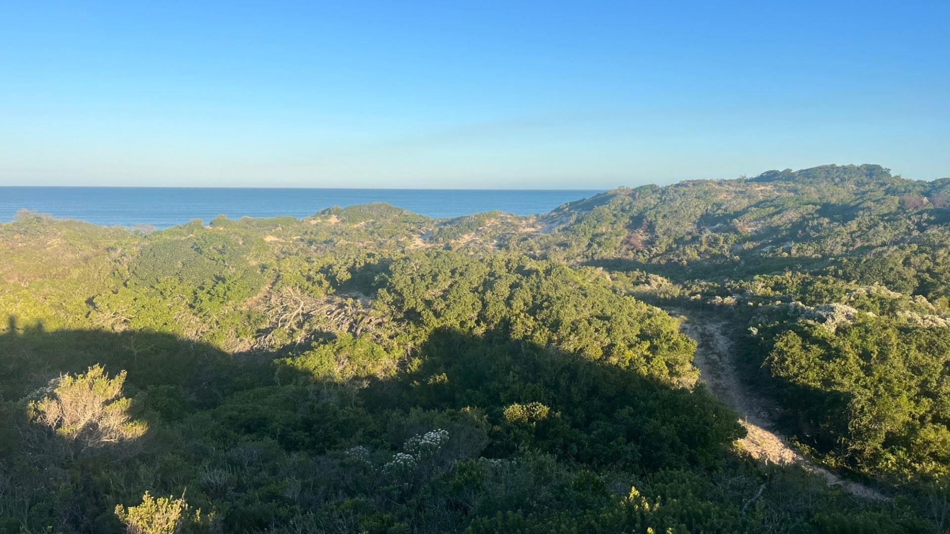 Vacant Land for sale in Jeffreys Bay, 1550000 m²