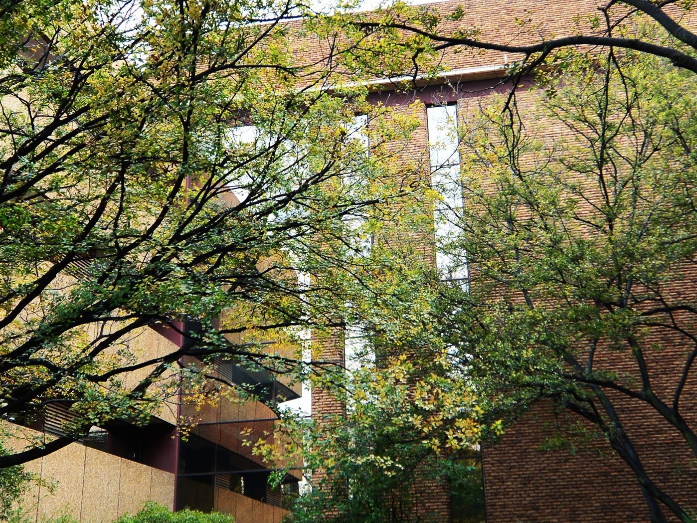 Commercial Property for rent in Parktown North, Johannesburg, 7934 m²