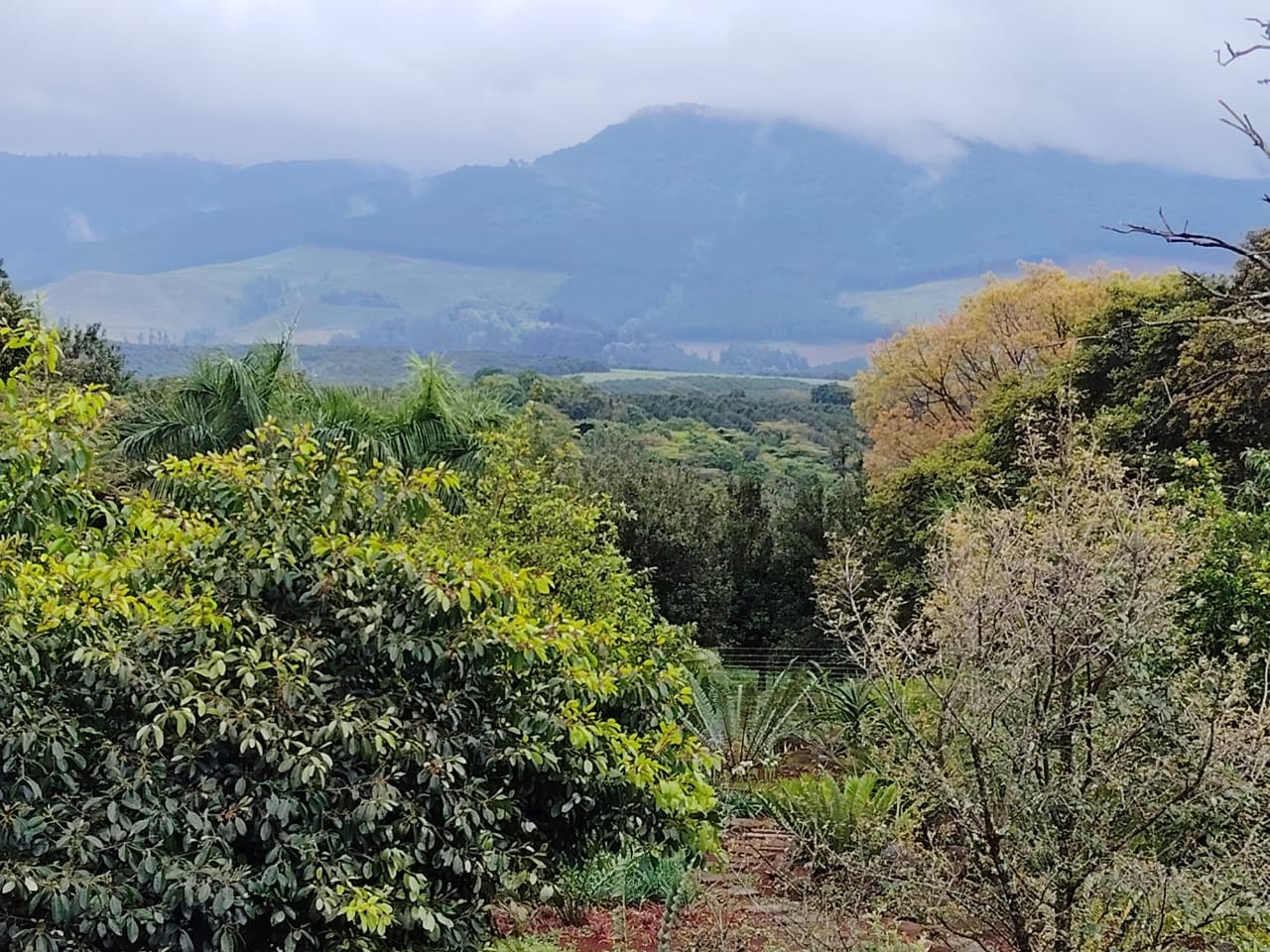 Farm for sale in Levubu, Louis Trichardt Rural, Louis Trichardt