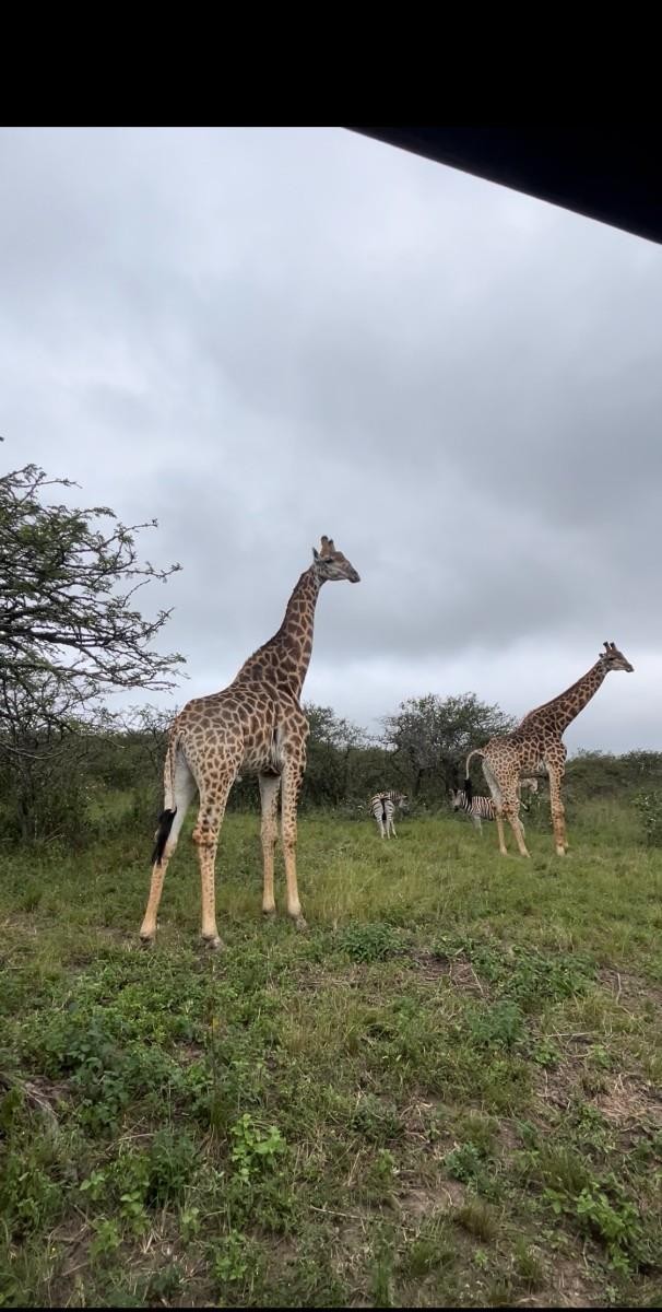 Farm for sale in Camperdown Rural, Camperdown, KwaZulu Natal, 1650000 m²