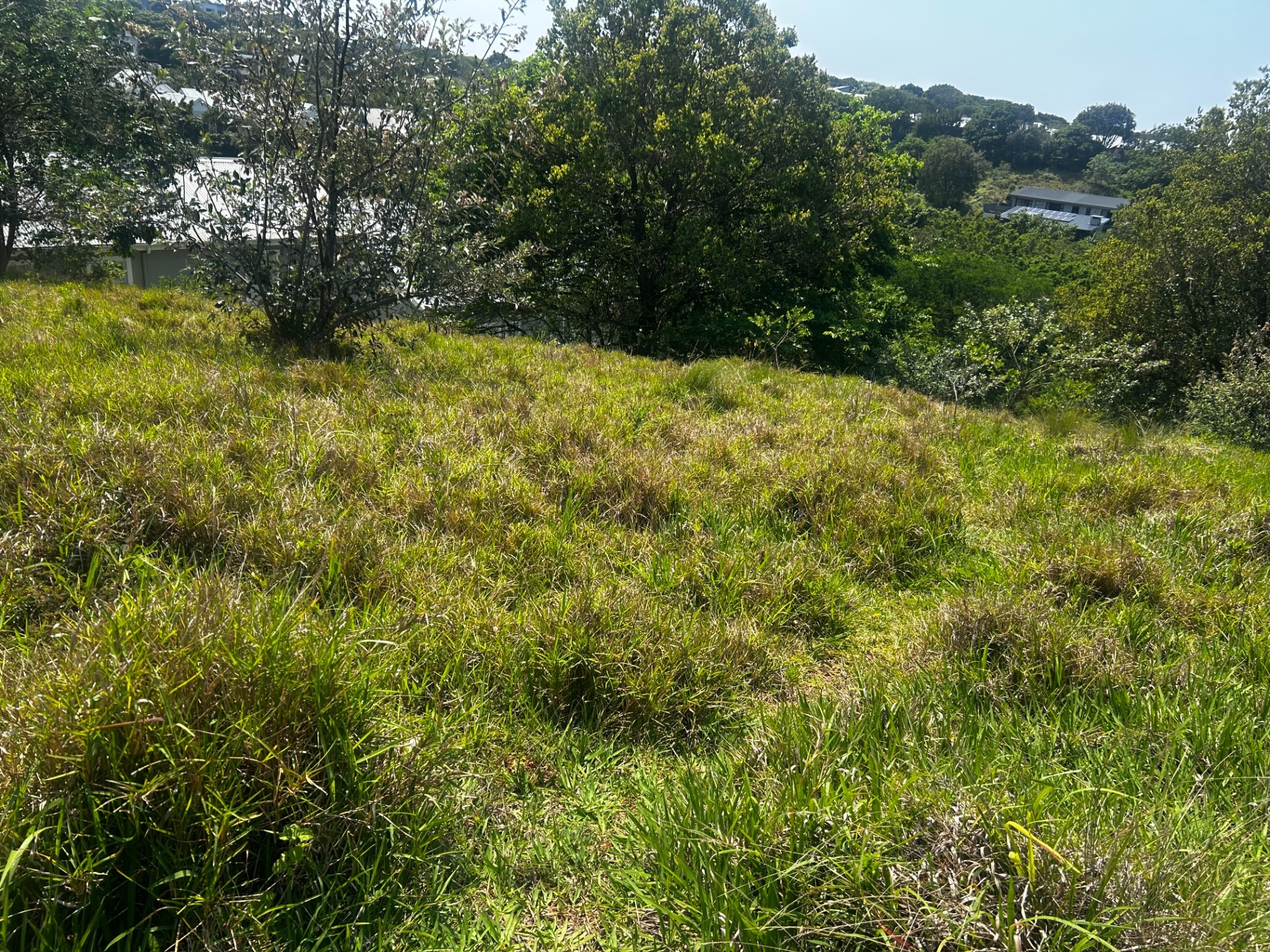 Vacant Land for sale in Simbithi Eco Estate, Ballito, KwaZulu Natal, 1327 Silver Oak Way, Simbithi Eco Estate, Ballito, KwaZulu Natal, 1747 m²
