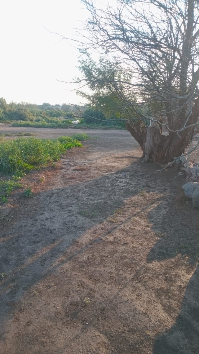 Vacant Land for sale in Beaufort West, 88 GAMKA, Beaufort West, Western Cape, 723 m²