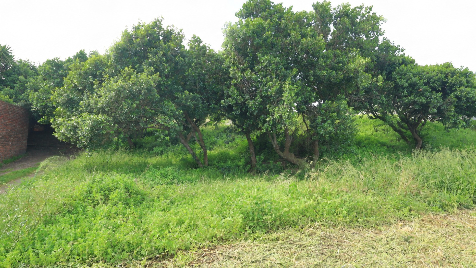 Vacant Land for sale in Aston Bay, Jeffreys Bay, 733 m²