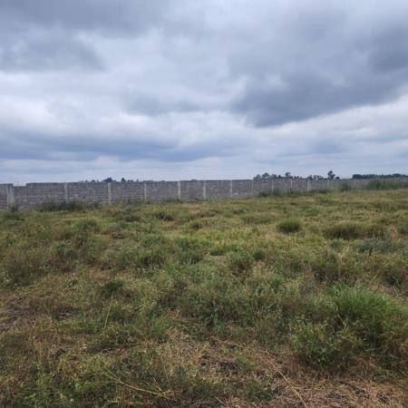 Vacant Land for sale in Bedfordview, 1031 m²