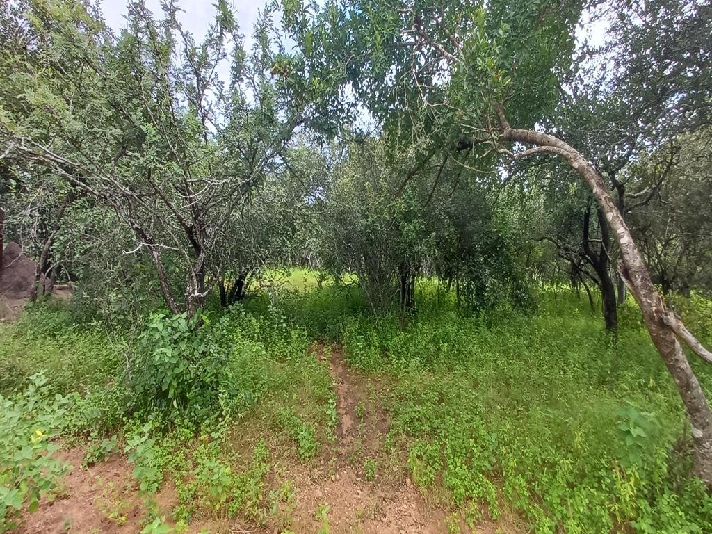 Vacant Land for sale in Marloth Park, 1530 m²