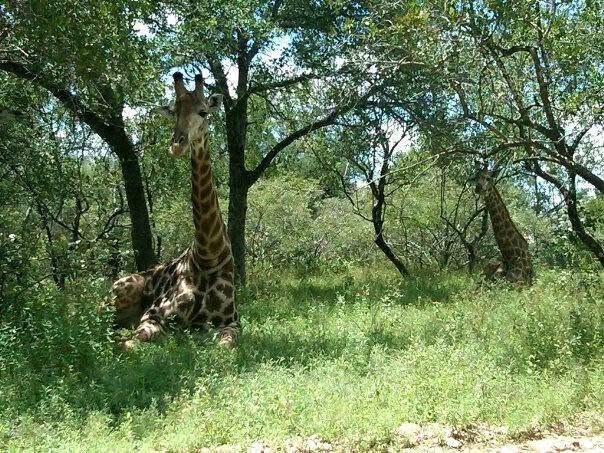 Vacant Land for sale in Marloth Park, 1530 m²