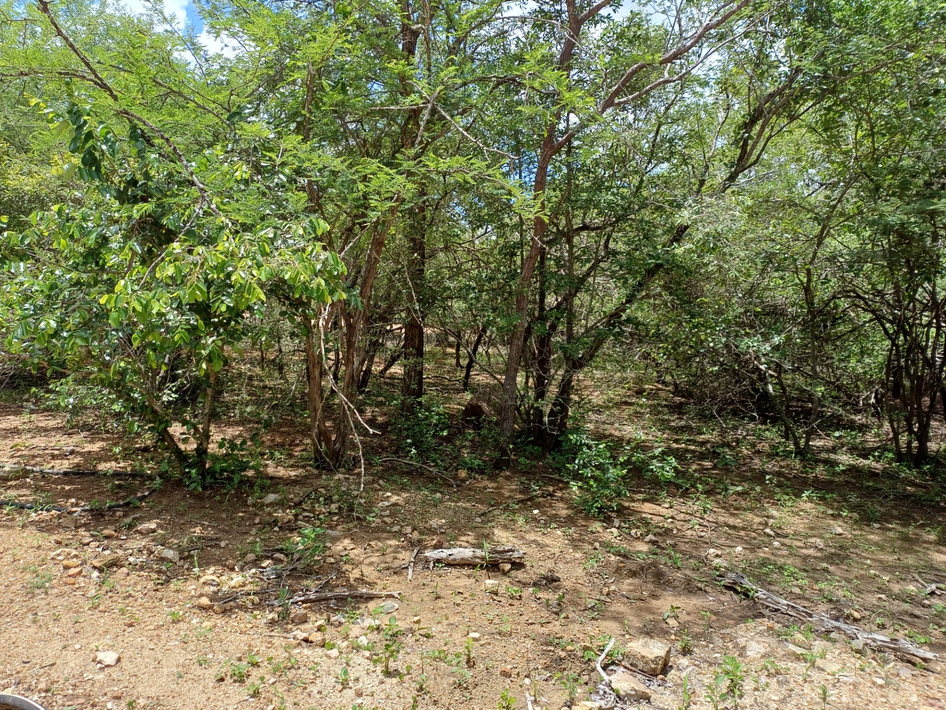 Vacant Land for sale in Marloth Park, 1530 m²