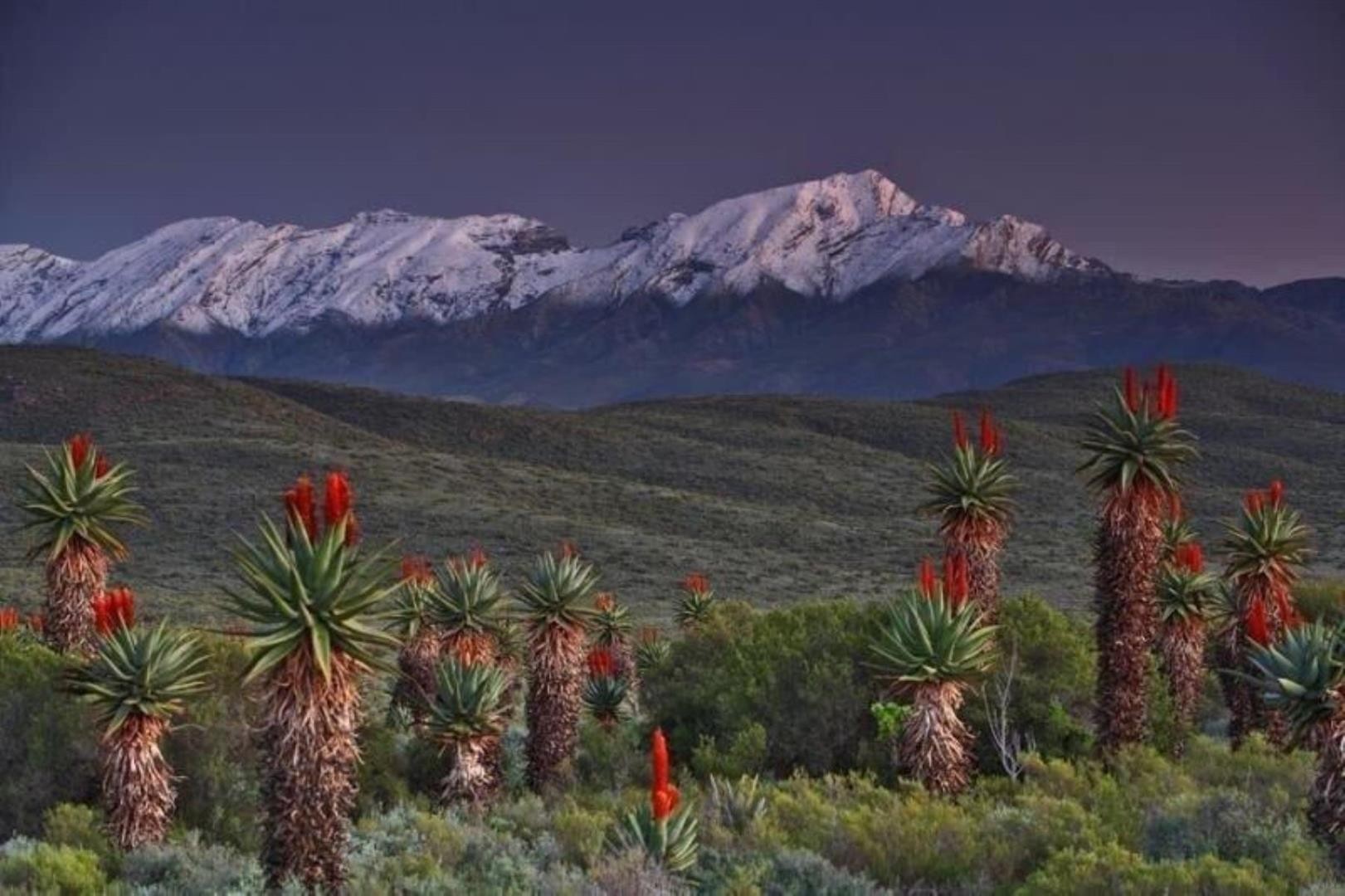 Farm for sale in De Rust, Oudtshoorn, 64000000 m²