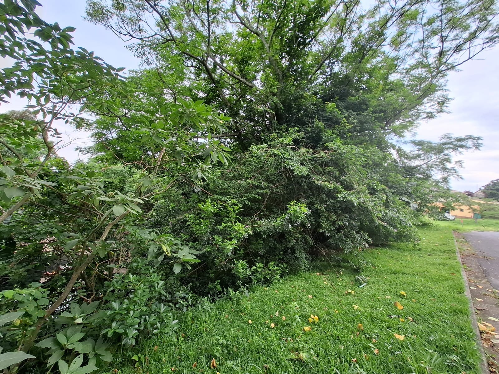 Vacant Land for sale in Margate, KwaZulu Natal, 1874 Pickman Street, Margate, KwaZulu Natal, 1350 m²