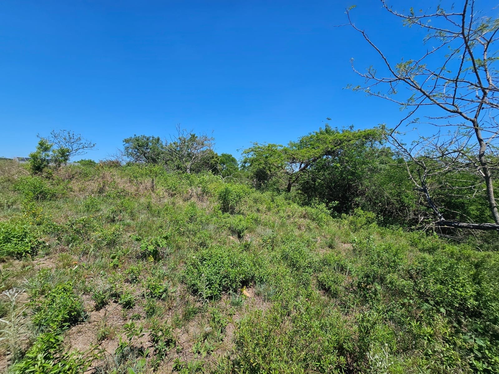 Vacant Land for sale in Wild Fig Country Estate, White River, 14000 m²