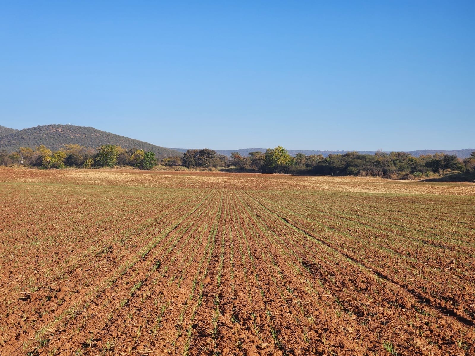 Farm for sale in Groblersdal, 1786000 m²