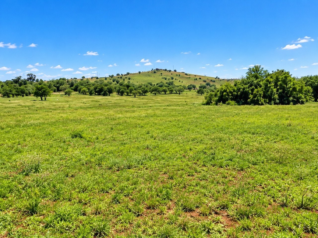 Farm for sale in Knopjeslaagte AH, Midrand, 256959 m²