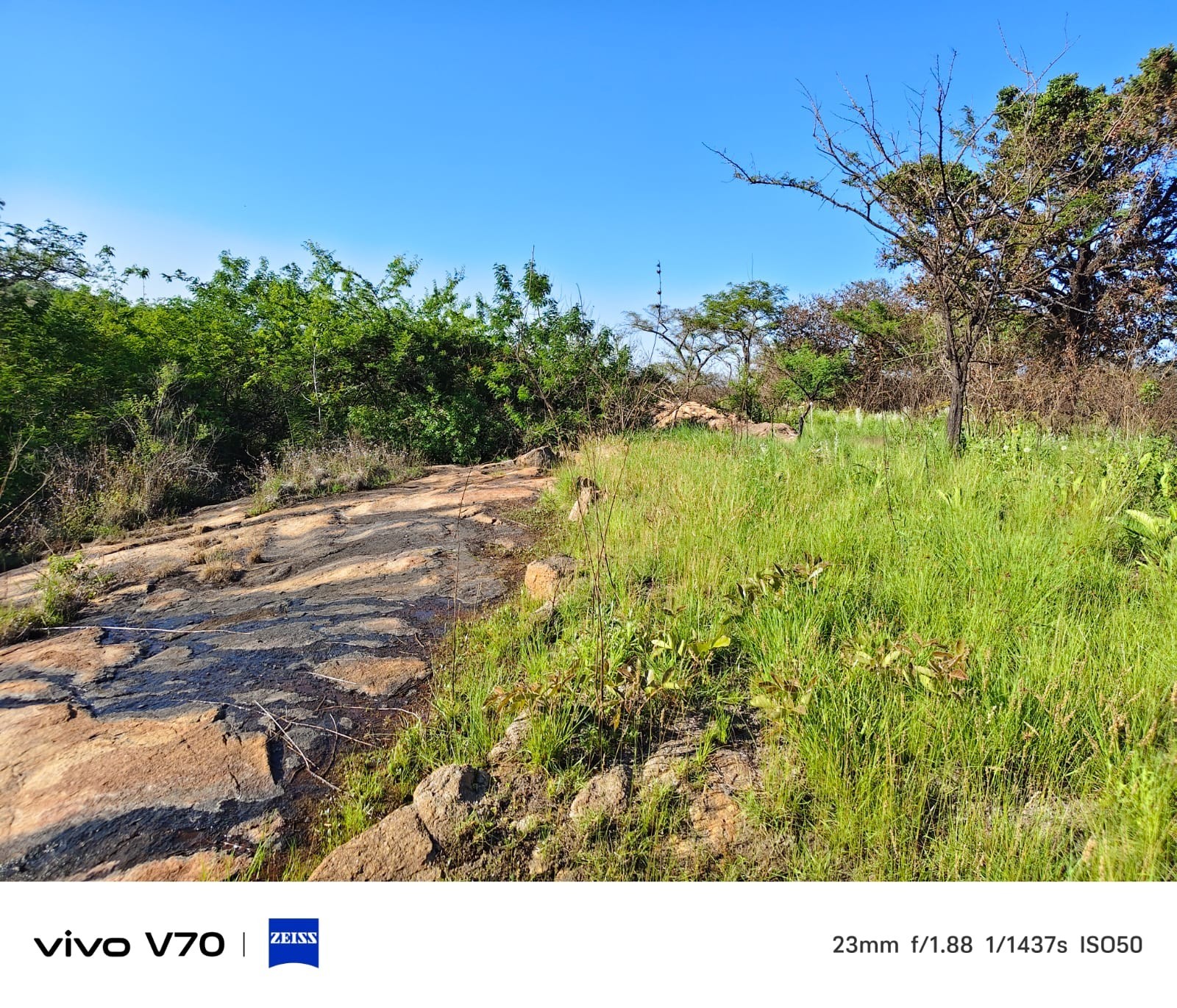Small Holding for sale in Nelspruit Rural, Nelspruit, 14000 m²