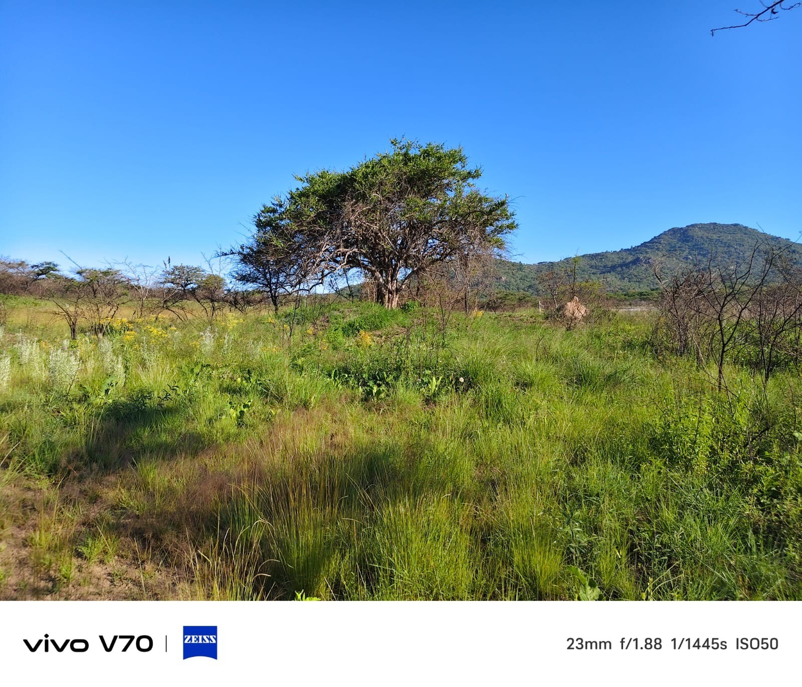 Small Holding for sale in Nelspruit Rural, Nelspruit, 14000 m²