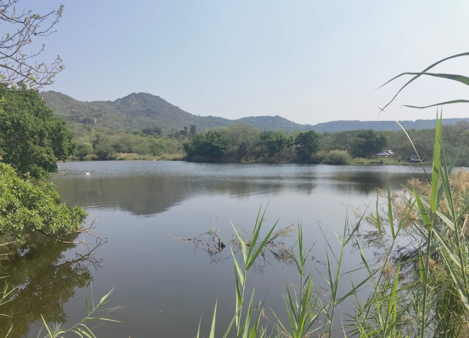 Small Holding for sale in Nelspruit Rural, Nelspruit, 14000 m²
