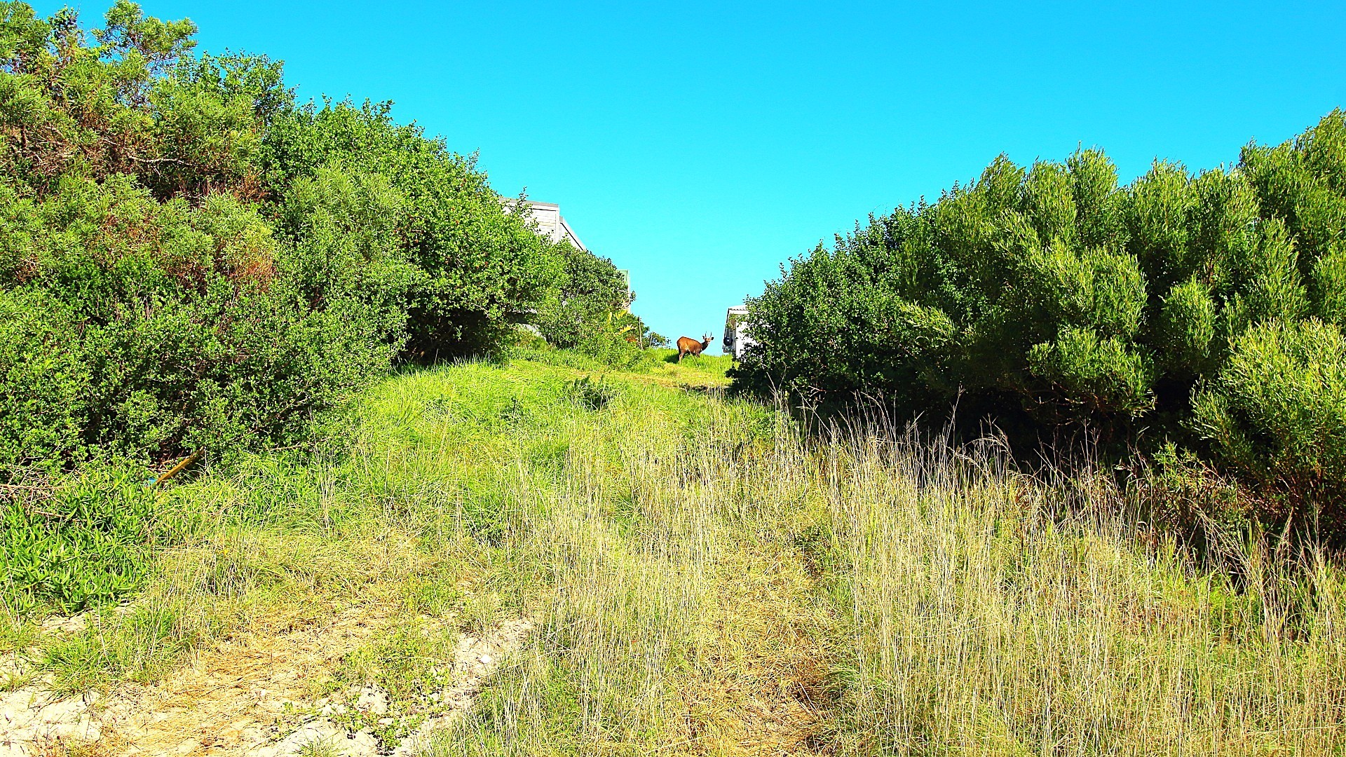 Vacant Land for sale in Paradise Beach, Jeffreys Bay, 770 m²