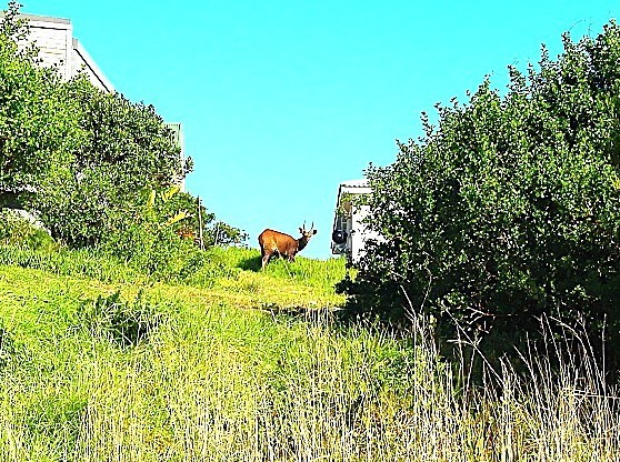 Vacant Land for sale in Paradise Beach, Jeffreys Bay, 770 m²
