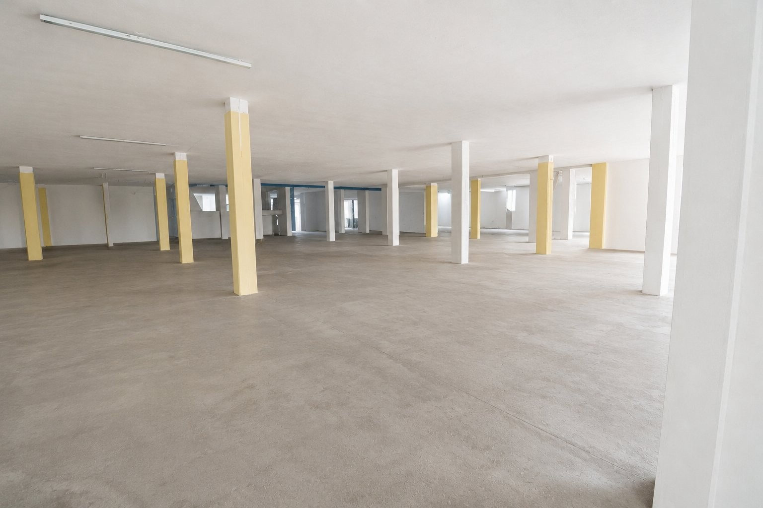 Commercial Property for rent in Dunvegan, Edenvale, 2442 m²