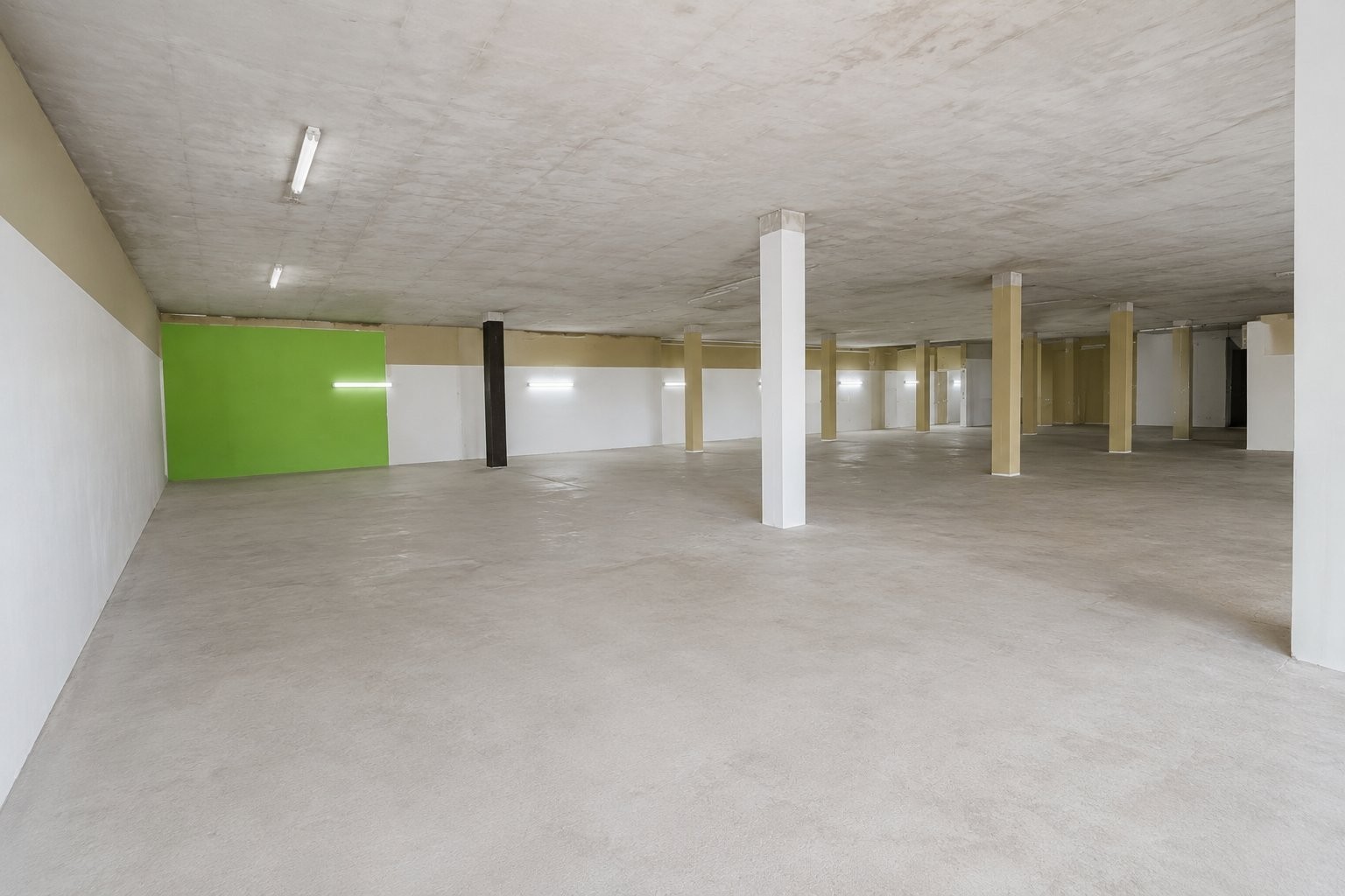 Commercial Property for rent in Dunvegan, Edenvale, 2442 m²