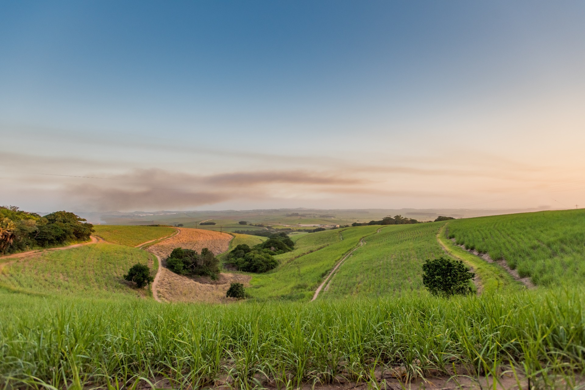 Small Holding for sale in Ballito Rural, Ballito, KwaZulu Natal, 19996 m²