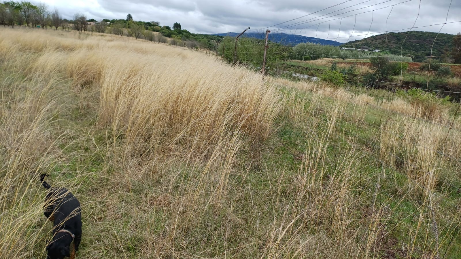 Farm for sale in Newcastle Rural, Newcastle, KwaZulu Natal