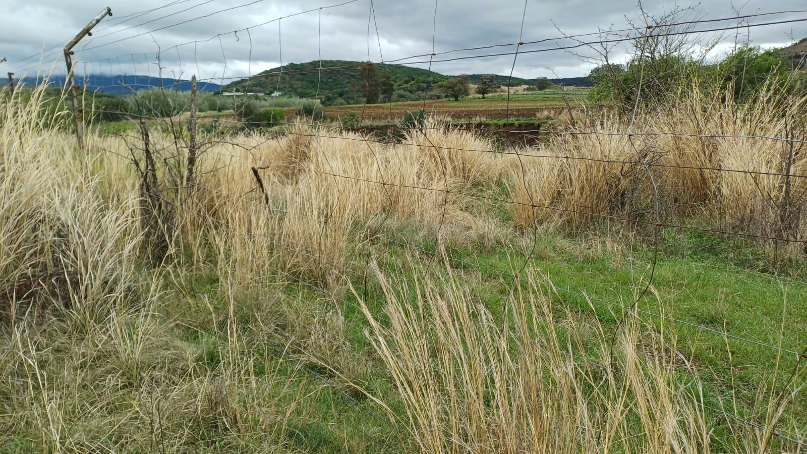 Farm for sale in Newcastle Rural, Newcastle, KwaZulu Natal